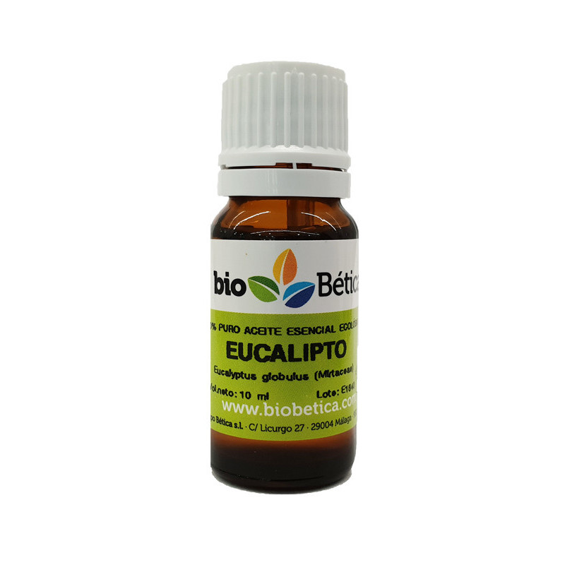 Aceite esencial eucalipto bio 10cc