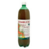 Refrig te kombucha frutas del bosque bio 1.5l